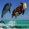 Poze Funny... - hy ady ...poza asta vi se pare destul de funny? - Un Pahar De Vb