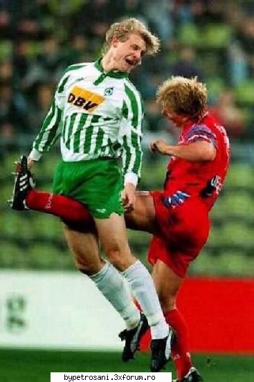 Poze Funny... - fox2000 - Un Pahar De Vb