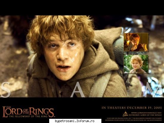 The Lord of the Rings - Sam prietenu` shi in acelashi timp slujitoru` lu` - Niste Pareri Despre filme