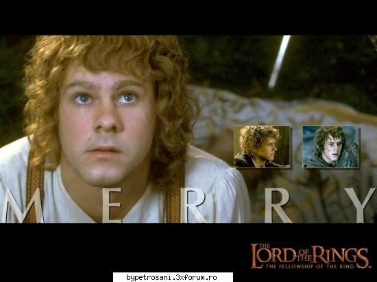 The Lord of the Rings - Merry unu` dintre prietenii lu` Frodo , el fiind - Niste Pareri Despre filme