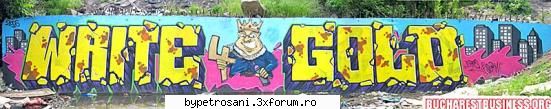Write 4 Gold - ASTA ii al lu` ERPS cu SERM - Totul Despre Grafitii